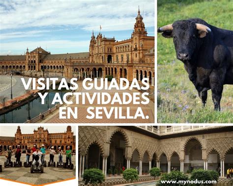 Las mejores excursiones, visitas guiadas y actividades en Sevilla